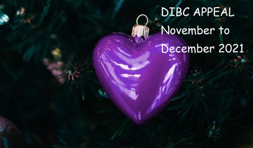 A photograph of a purple heart-shaped Christmas decoration, hanging from a Christmas tree. In the top right are the words &#039;DIBC APPEAL November to December 2021&#039;.