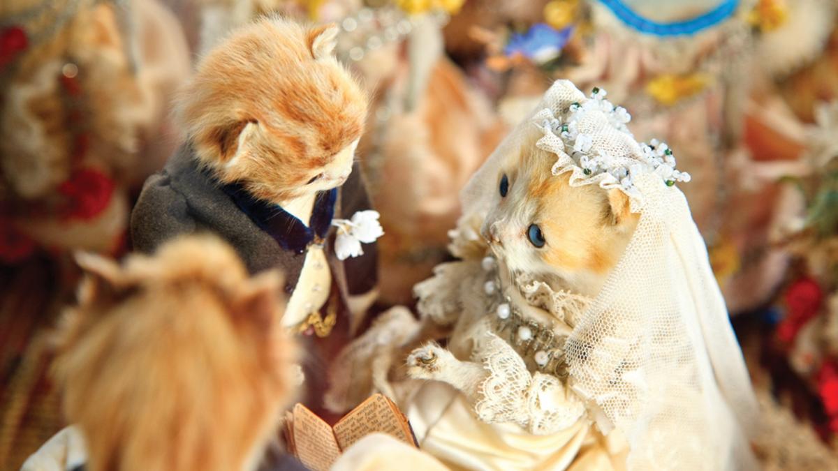 The Kittens Wedding, tacky Victorian tableau involving stuffed kittens